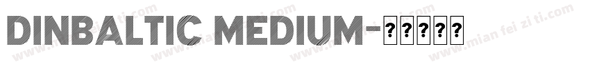 DINBaltic Medium字体转换
